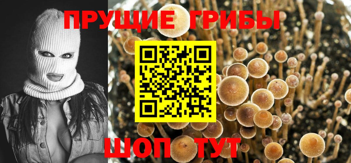 Псилоцибиновые грибы мухоморы  дарнет шоп  Добрянка  Вход с VPN 