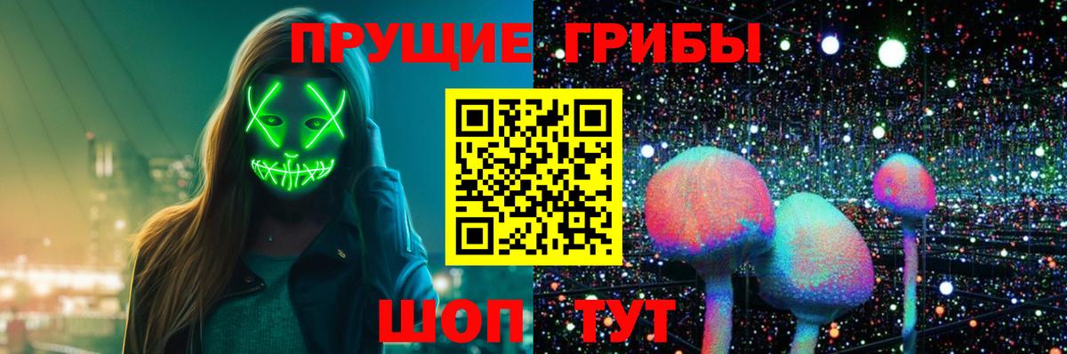 Псилоцибиновые грибы Psilocybe Добрянка